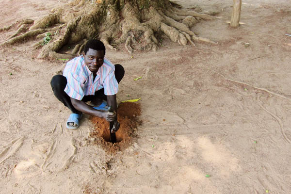 Digging post holes for a vaccination site, Faradje